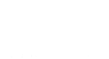 MangueDev — Desenvolvimento de Sistemas